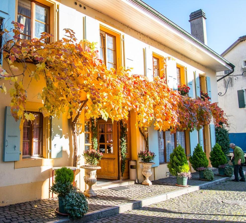Le Cinquante Quatre Apartment Perroy Luaran gambar
